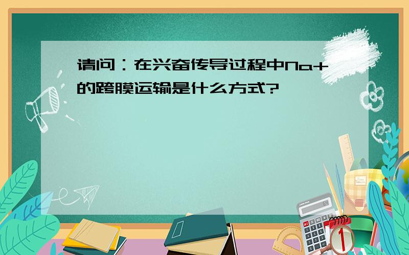 请问：在兴奋传导过程中Na+的跨膜运输是什么方式?