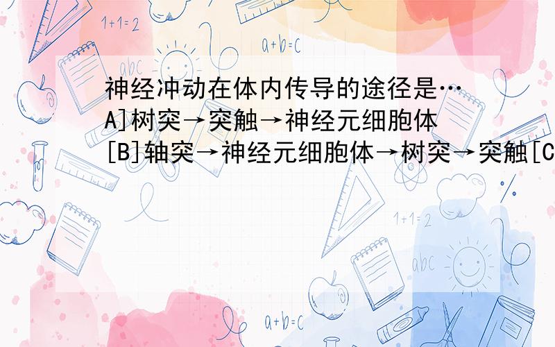 神经冲动在体内传导的途径是…A]树突→突触→神经元细胞体[B]轴突→神经元细胞体→树突→突触[C]树突→神经元细胞体→轴突→突触[D]树突→突触→轴突→神经元细胞体