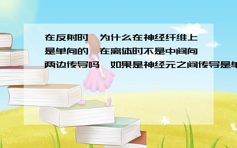 在反射时,为什么在神经纤维上是单向的,在离体时不是中间向两边传导吗,如果是神经元之间传导是单向的那和神经纤维上的传导有关系吗