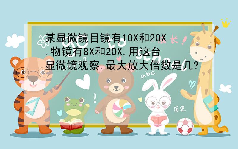 某显微镜目镜有10X和20X,物镜有8X和20X,用这台显微镜观察,最大放大倍数是几?