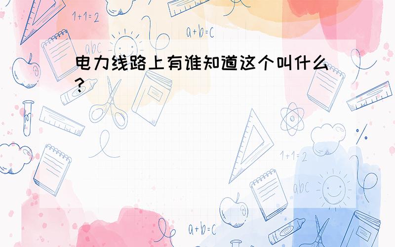 电力线路上有谁知道这个叫什么?