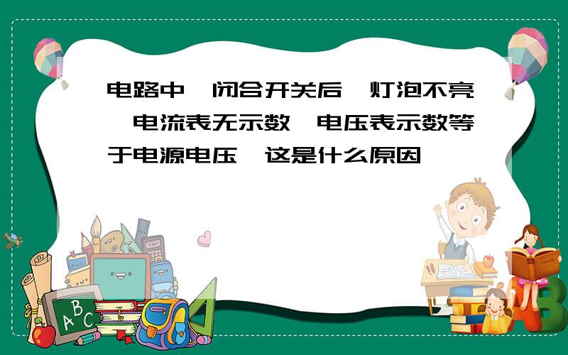 电路中,闭合开关后,灯泡不亮,电流表无示数,电压表示数等于电源电压,这是什么原因