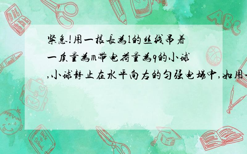 紧急!用一根长为l的丝线吊着一质量为m带电荷量为q的小球,小球静止在水平向右的匀强电场中,如用一根长为l的丝线吊着一质量为m带电荷量为q的小球,小球静止在水平向右的匀强电场中,如图