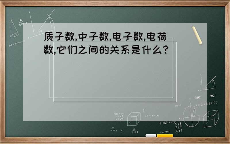 质子数,中子数,电子数,电荷数,它们之间的关系是什么?