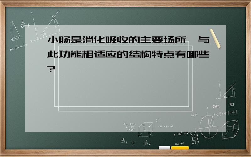 小肠是消化吸收的主要场所,与此功能相适应的结构特点有哪些?