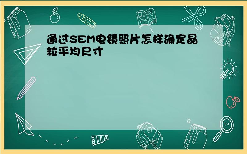 通过SEM电镜照片怎样确定晶粒平均尺寸