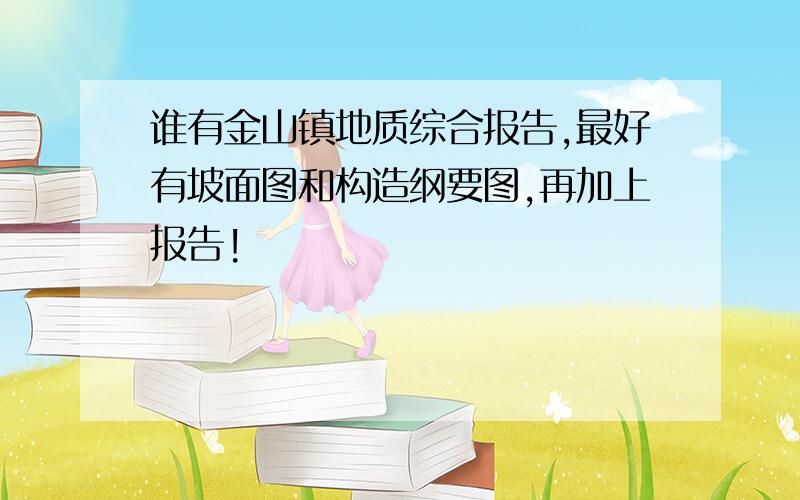 谁有金山镇地质综合报告,最好有坡面图和构造纲要图,再加上报告!