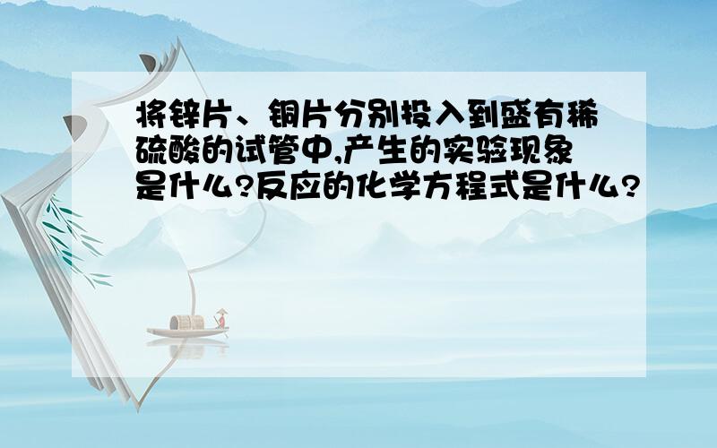 将锌片、铜片分别投入到盛有稀硫酸的试管中,产生的实验现象是什么?反应的化学方程式是什么?