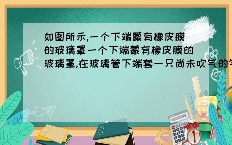 如图所示,一个下端蒙有橡皮膜的玻璃罩一个下端蒙有橡皮膜的玻璃罩,在玻璃管下端套一只尚未吹气的气球,然后用手抓住橡皮膜向下拉或向上压,此时气球的大小将发生变化；这实际上构成了