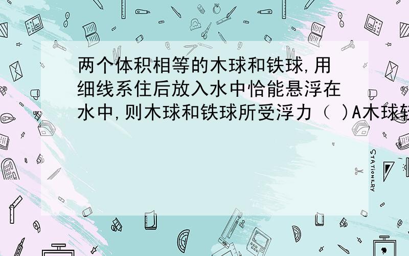 两个体积相等的木球和铁球,用细线系住后放入水中恰能悬浮在水中,则木球和铁球所受浮力（ )A木球较大 B铁球较大 C两球一样大 D无法判断（木球和铁球之间有细线连接 木求悬浮在铁球上方