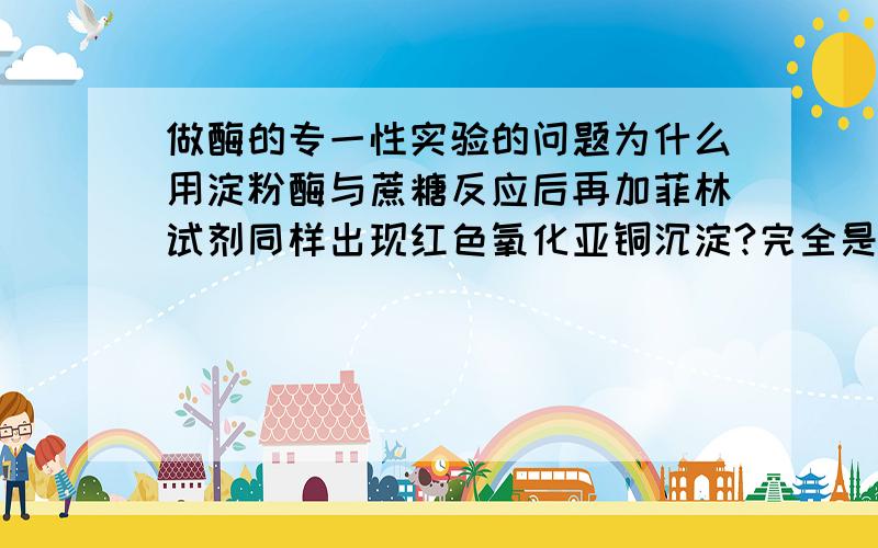 做酶的专一性实验的问题为什么用淀粉酶与蔗糖反应后再加菲林试剂同样出现红色氧化亚铜沉淀?完全是按照教材上作的为什么?你们在网上说用这个办法作酶的专一性实验,是按照书上说的还