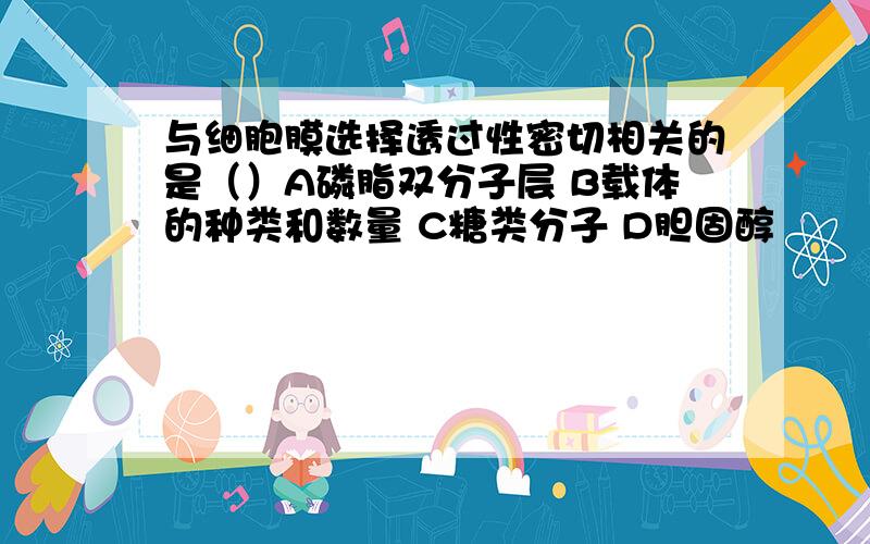 与细胞膜选择透过性密切相关的是（）A磷脂双分子层 B载体的种类和数量 C糖类分子 D胆固醇