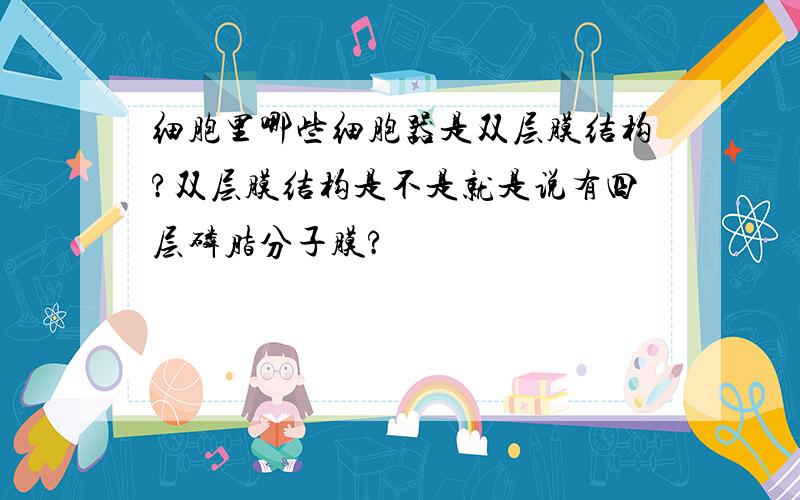 细胞里哪些细胞器是双层膜结构?双层膜结构是不是就是说有四层磷脂分子膜?