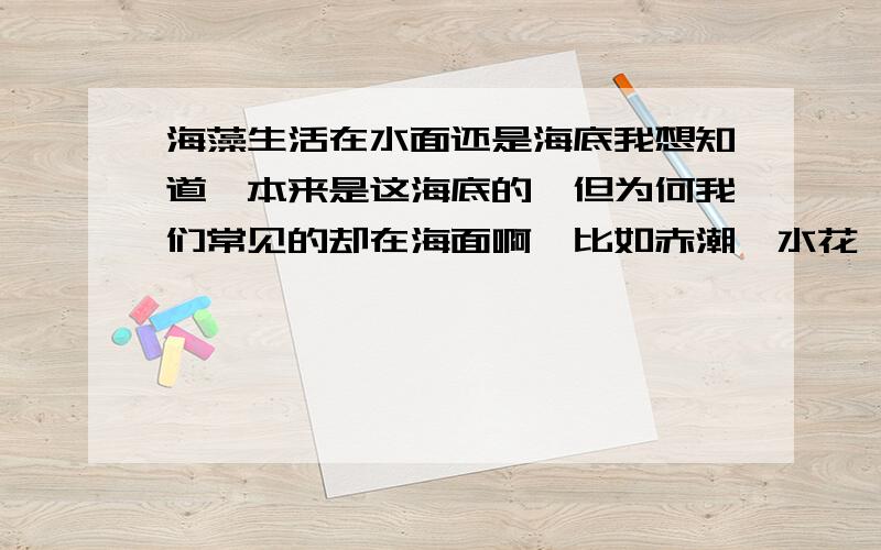 海藻生活在水面还是海底我想知道,本来是这海底的,但为何我们常见的却在海面啊,比如赤潮,水花