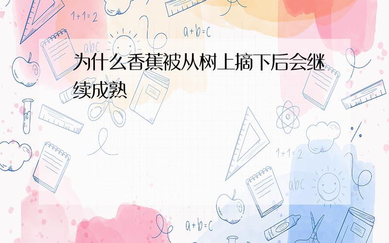 为什么香蕉被从树上摘下后会继续成熟