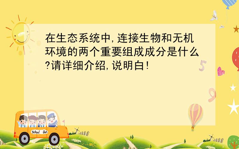 在生态系统中,连接生物和无机环境的两个重要组成成分是什么?请详细介绍,说明白!