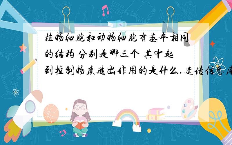 植物细胞和动物细胞有基本相同的结构 分别是哪三个 其中起到控制物质进出作用的是什么,遗传信息库是什么