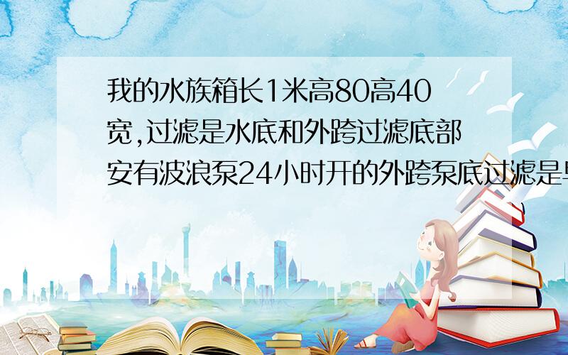 我的水族箱长1米高80高40宽,过滤是水底和外跨过滤底部安有波浪泵24小时开的外跨泵底过滤是早上开半个小时中午开2个下时晚上开2个小时,里面养的银龙一条地图2条战船2条红鹦鹉3条金线2条