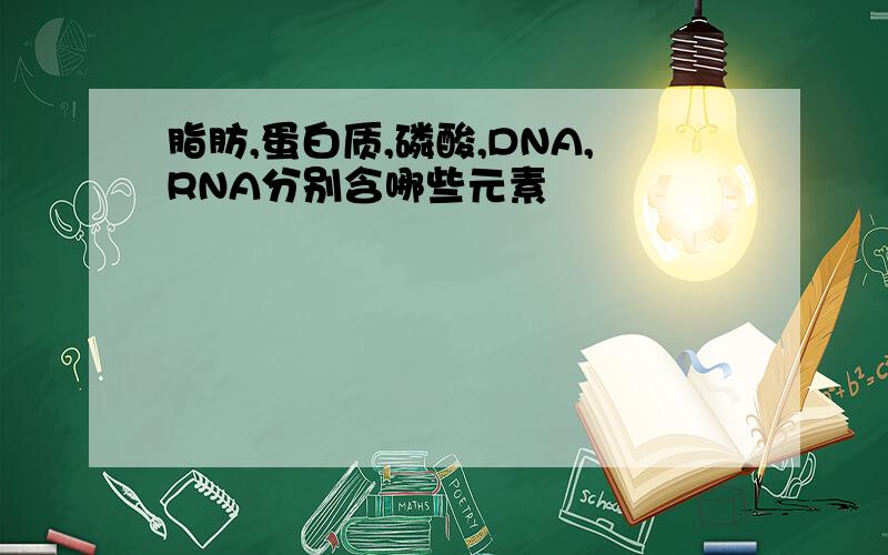 脂肪,蛋白质,磷酸,DNA,RNA分别含哪些元素