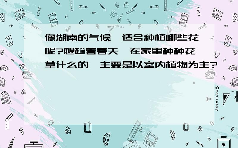 像湖南的气候,适合种植哪些花呢?想趁着春天,在家里种种花草什么的,主要是以室内植物为主?