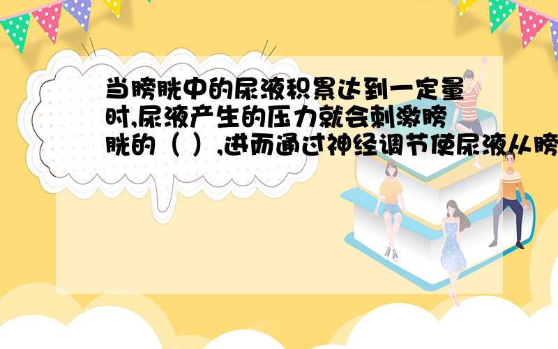 当膀胱中的尿液积累达到一定量时,尿液产生的压力就会刺激膀胱的（ ）,进而通过神经调节使尿液从膀胱中经尿道排出,这叫排尿反射.