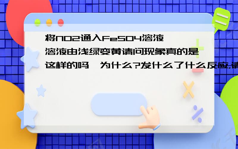 将NO2通入FeSO4溶液,溶液由浅绿变黄请问现象真的是这样的吗,为什么?发什么了什么反应，请写出方程式