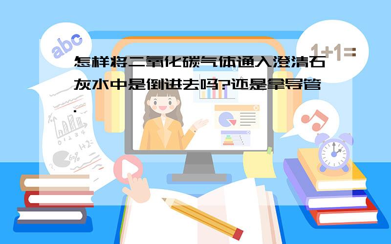 怎样将二氧化碳气体通入澄清石灰水中是倒进去吗?还是拿导管.