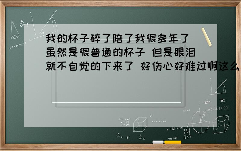 我的杯子碎了陪了我很多年了 虽然是很普通的杯子 但是眼泪就不自觉的下来了 好伤心好难过啊这么多年 我长大了 工作了 但我的杯子再也陪不了我了 可能是我一个人住所以多想了,可我真