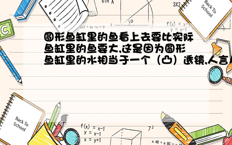 圆形鱼缸里的鱼看上去要比实际鱼缸里的鱼要大,这是因为圆形鱼缸里的水相当于一个（凸）透镜,人言从侧面看到的是鱼的（正）立、（放大）的（ ）像.括号里是填虚像或实像吗?是的话,到