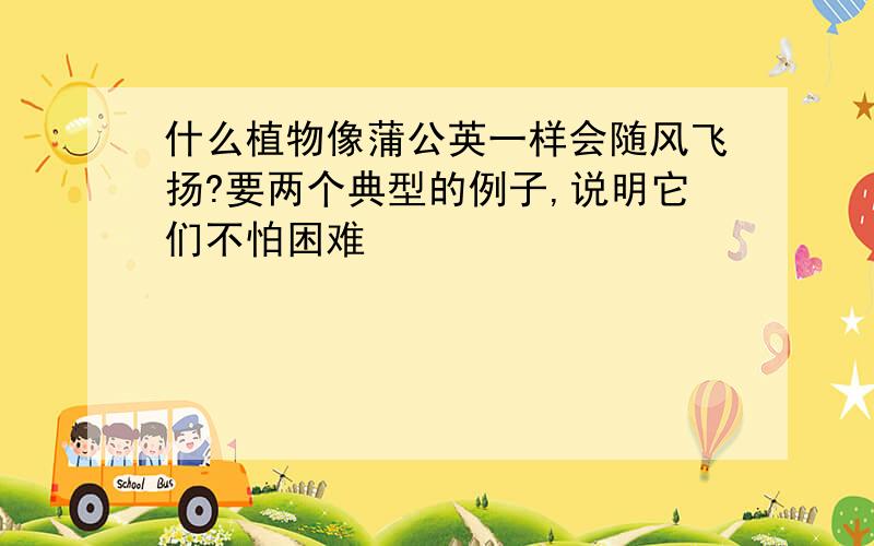 什么植物像蒲公英一样会随风飞扬?要两个典型的例子,说明它们不怕困难