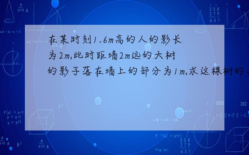 在某时刻1.6m高的人的影长为2m,此时距墙2m远的大树的影子落在墙上的部分为1m,求这棵树的高度.