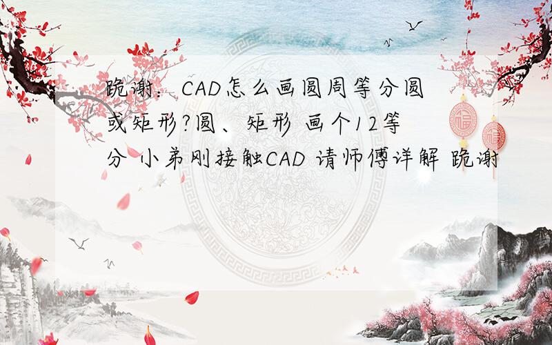 跪谢：CAD怎么画圆周等分圆或矩形?圆、矩形 画个12等分 小弟刚接触CAD 请师傅详解 跪谢