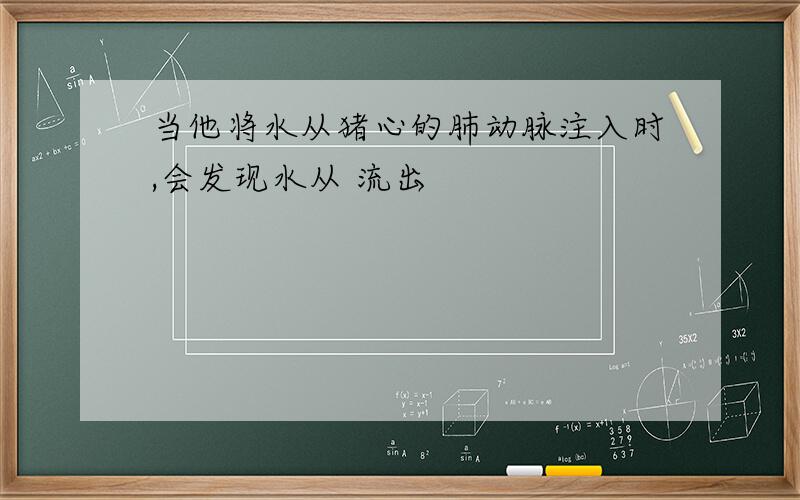 当他将水从猪心的肺动脉注入时,会发现水从 流出