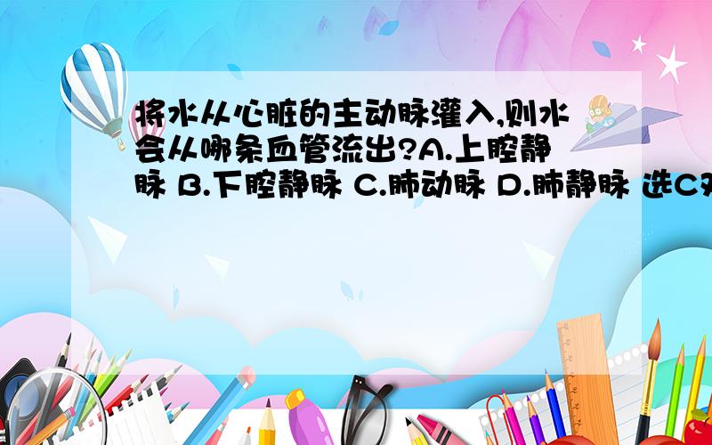 将水从心脏的主动脉灌入,则水会从哪条血管流出?A.上腔静脉 B.下腔静脉 C.肺动脉 D.肺静脉 选C对吗