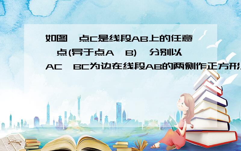 如图,点C是线段AB上的任意一点(异于点A,B),分别以AC,BC为边在线段AB的两侧作正方形ACDE和BCFG,链接AF,BD1 证明AF=BD2 当点C位于线段AB何处时,边AF、BD所在直线互相平行?请说明理由.