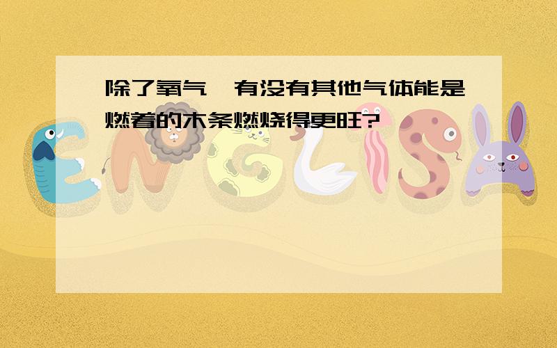 除了氧气,有没有其他气体能是燃着的木条燃烧得更旺?