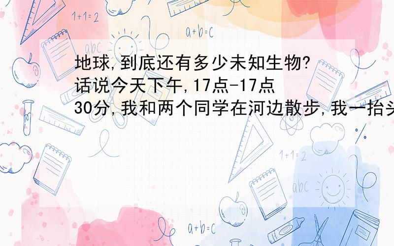 地球,到底还有多少未知生物?话说今天下午,17点-17点30分,我和两个同学在河边散步,我一抬头,忽然看到,一个灰色间白色的飞行物,翅膀呼扇的很慢,经过仔细看,确认那是一只大鸟儿,同学A说:我