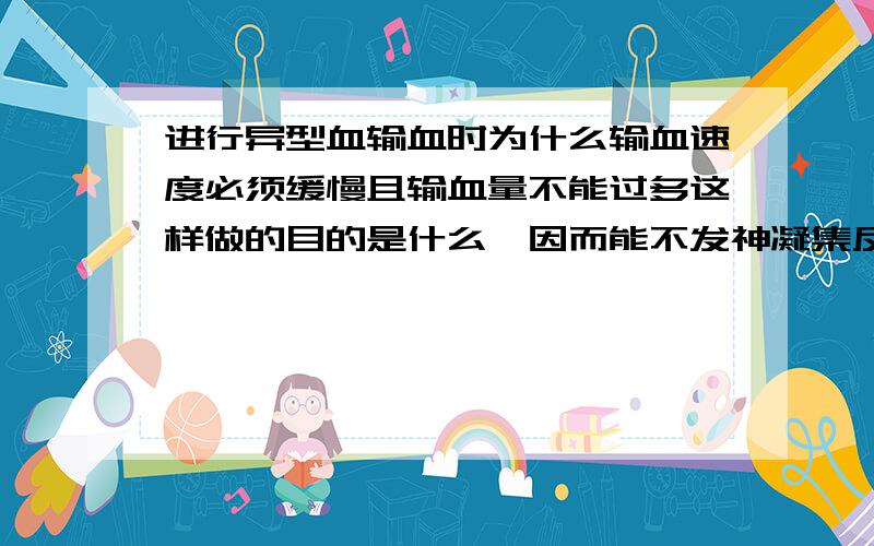 进行异型血输血时为什么输血速度必须缓慢且输血量不能过多这样做的目的是什么,因而能不发神凝集反应