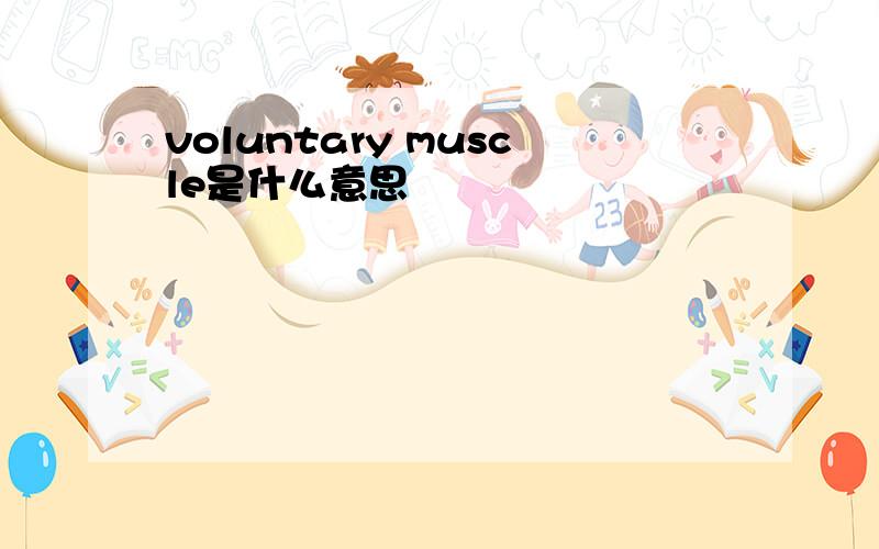 voluntary muscle是什么意思