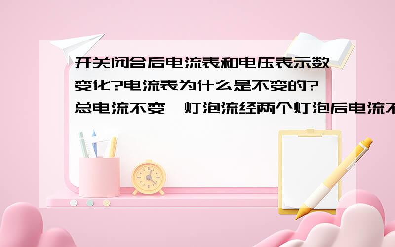 开关闭合后电流表和电压表示数变化?电流表为什么是不变的?总电流不变,灯泡流经两个灯泡后电流不是变小吗?