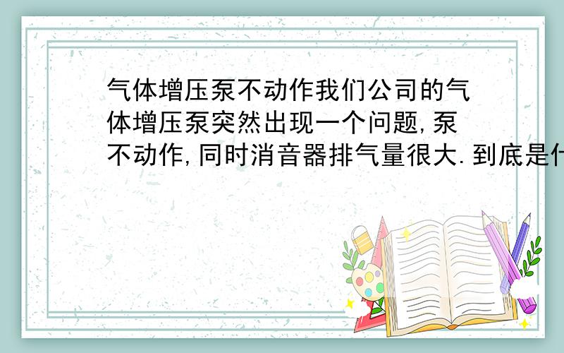 气体增压泵不动作我们公司的气体增压泵突然出现一个问题,泵不动作,同时消音器排气量很大.到底是什么原因所导致的,