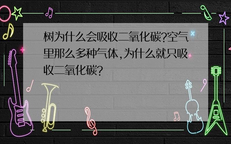 树为什么会吸收二氧化碳?空气里那么多种气体,为什么就只吸收二氧化碳?