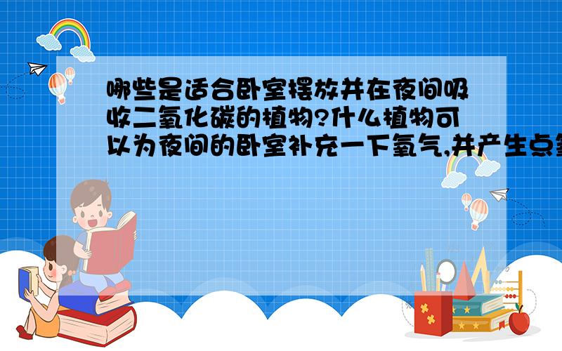 哪些是适合卧室摆放并在夜间吸收二氧化碳的植物?什么植物可以为夜间的卧室补充一下氧气,并产生点氧负离子什么的?总之是适合放在卧室的?尤其是冬天,开着窗户冷,关着窗户一夜睡下来,屋