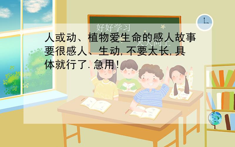 人或动、植物爱生命的感人故事要很感人、生动,不要太长,具体就行了.急用!