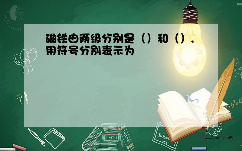 磁铁由两级分别是（）和（）,用符号分别表示为