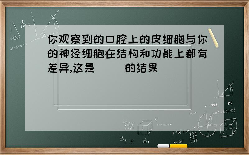 你观察到的口腔上的皮细胞与你的神经细胞在结构和功能上都有差异,这是（ ）的结果