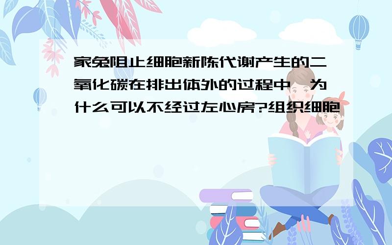 家兔阻止细胞新陈代谢产生的二氧化碳在排出体外的过程中,为什么可以不经过左心房?组织细胞……