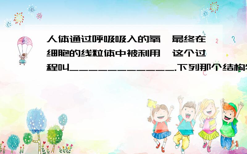 人体通过呼吸吸入的氧,最终在细胞的线粒体中被利用,这个过程叫___________.下列那个结构特点不是与小肠吸收营养物质相适应的?A、小肠是消化道中最长的一段：长度5-6米B、小肠内有许多种