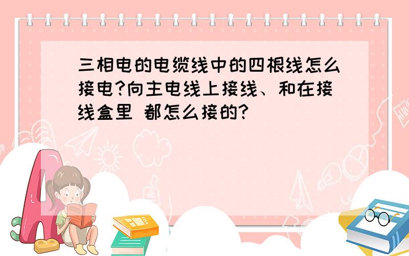 三相电的电缆线中的四根线怎么接电?向主电线上接线、和在接线盒里 都怎么接的?