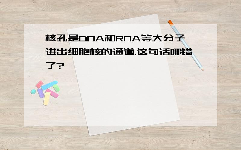 核孔是DNA和RNA等大分子进出细胞核的通道.这句话哪错了?